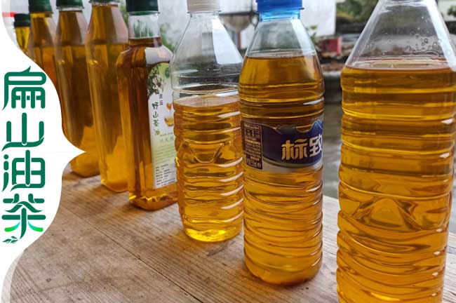 廣西茶油價格