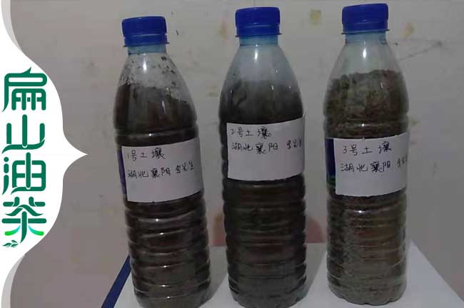 油茶種植土質(zhì)檢測
