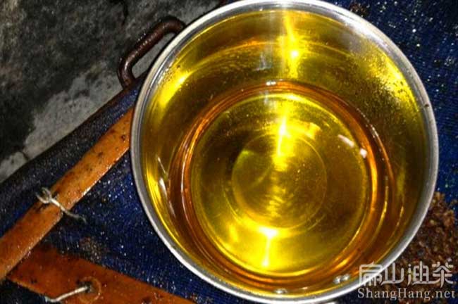 大果油茶批發(fā)