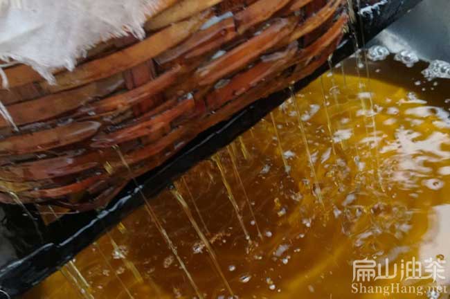 恭城茶油批發(fā)