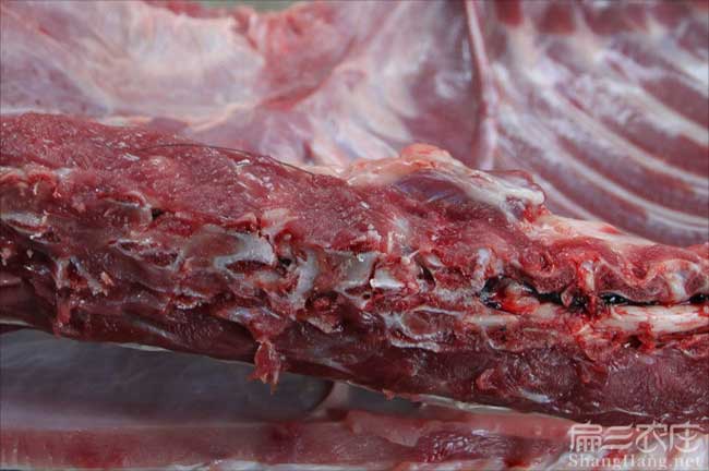 莆田肉兔肉批發(fā)