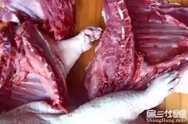 東莞肉兔肉批發(fā)