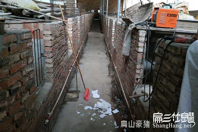 南平商品肉兔肉批發(fā)