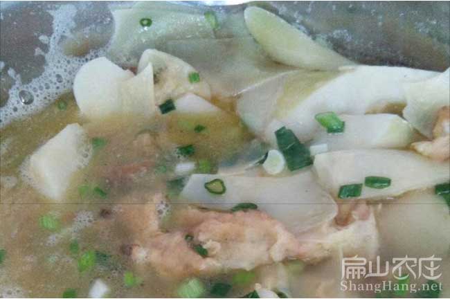 三明豚鼠加工