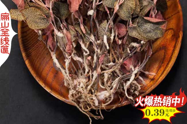 仙桃瓶裝金線蓮種苗價(jià)格