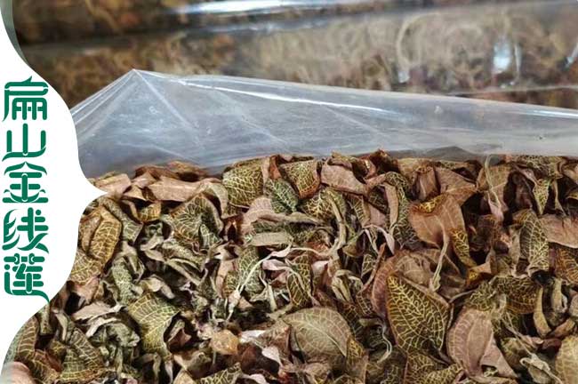 濰坊金線蓮干貨
