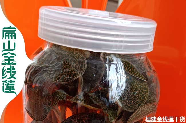福建紅霞金線蓮種植 福建紅霞金線蓮種植