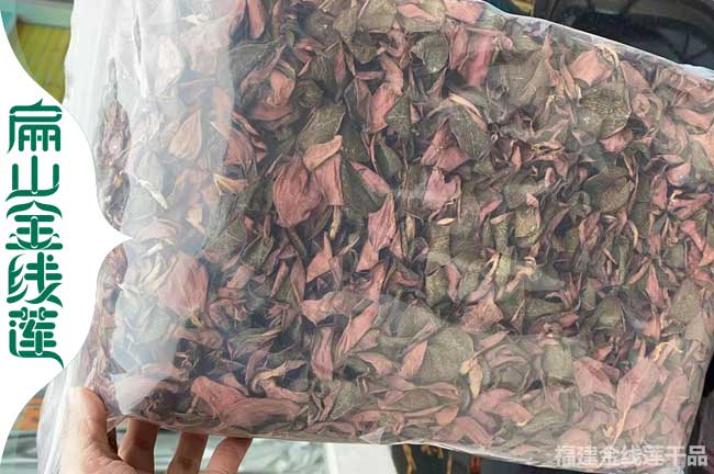 南充金線蓮干貨 南充金線蓮干貨