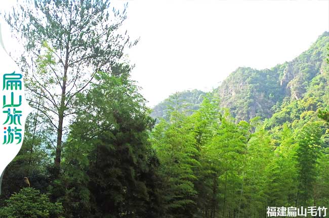扁山水口竹林風(fēng)景一角 扁山水口竹林風(fēng)景一角