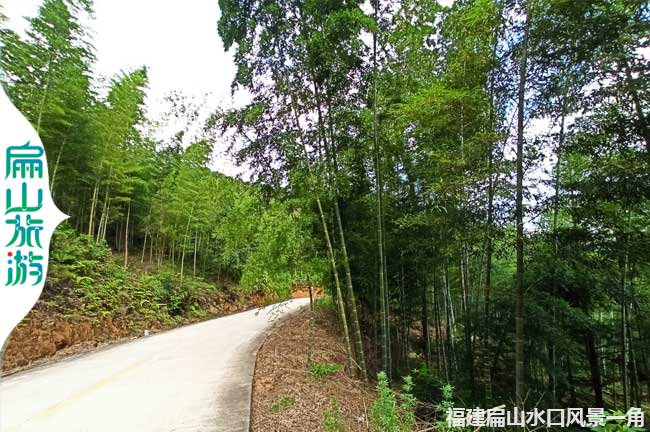 扁山竹林景色一角 扁山竹林景色一角