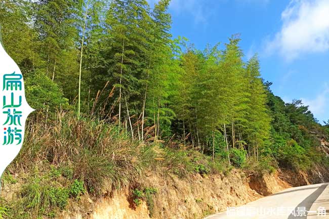 扁山水庫竹林風(fēng)景 扁山水庫竹林風(fēng)景