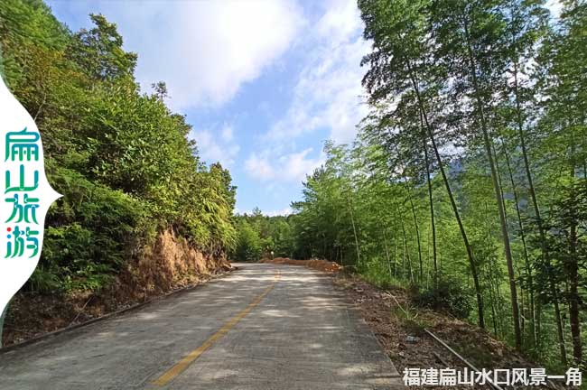 扁山村口竹林風(fēng)景 扁山村口竹林風(fēng)景