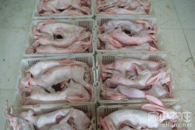 肉竹鼠加工