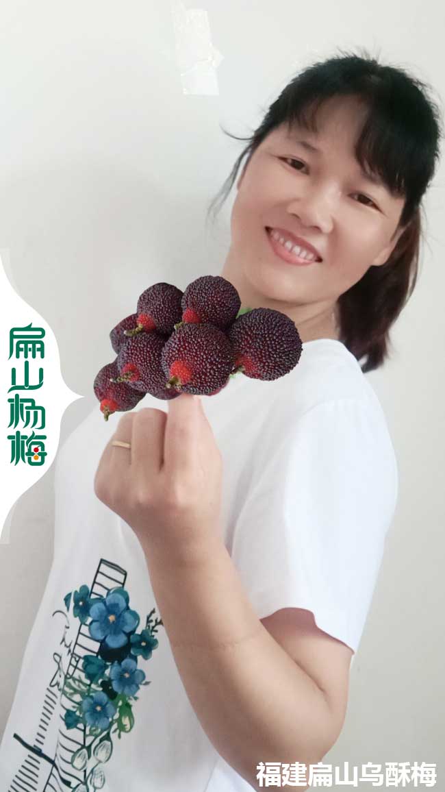 果洛楊梅批發(fā)