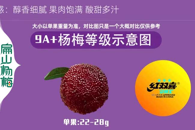乒乓球大小楊梅果