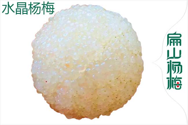 渭南水晶楊梅回收