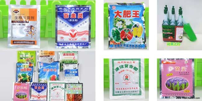 天門茶油在國(guó)外受歡迎 天門茶油在國(guó)外受歡迎