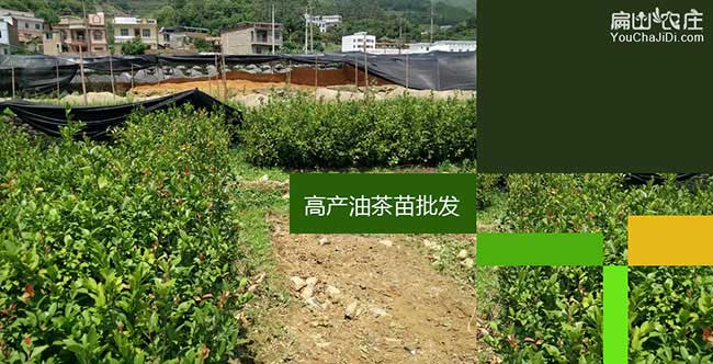 □ 銀涂鎮(zhèn)江西贛石贛 □ 銀涂鎮(zhèn)江西贛石贛