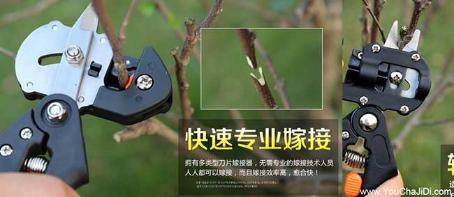 英德市基地專業(yè)加工及 英德市基地專業(yè)加工及
