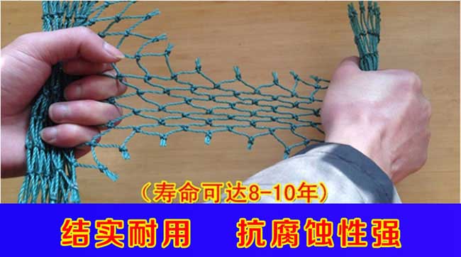 □ 銀涂鎮(zhèn)茶樹(shù)苗高度 □ 銀涂鎮(zhèn)茶樹(shù)苗高度