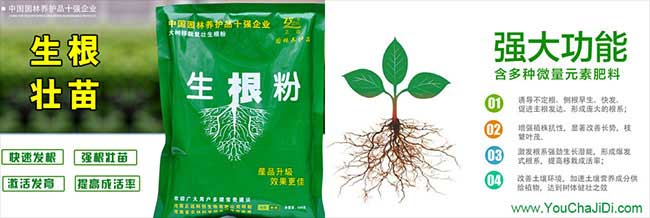 連州市低產(chǎn)林的改造技 連州市低產(chǎn)林的改造技