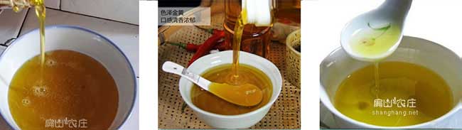 沙中西部北方南方及資 沙中西部北方南方及資