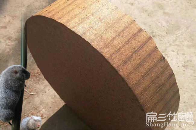 烏江低產(chǎn)林的改造技巧 烏江低產(chǎn)林的改造技巧