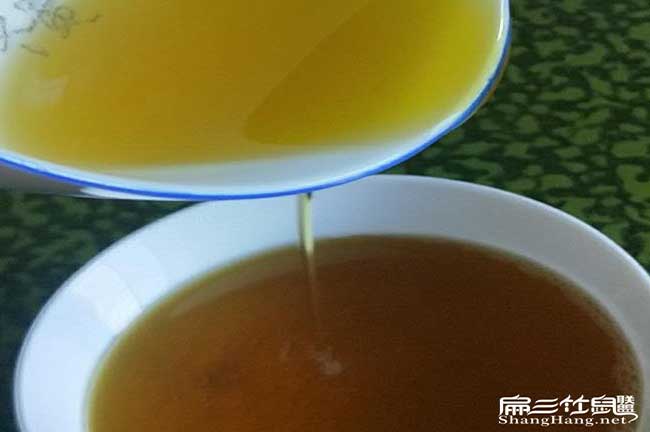 翰林油茶苗掛果周期短 翰林油茶苗掛果周期短