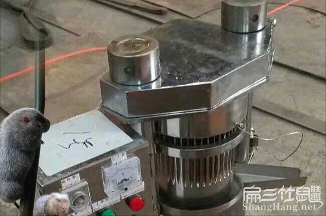 渭濱北方扁山茶油多少 渭濱北方扁山茶油多少
