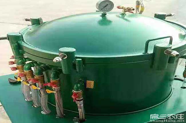 佳縣茶樹苗種植的品種 佳縣茶樹苗種植的品種