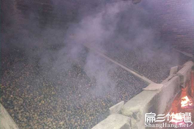 邵東茶籽回收 邵東茶籽回收