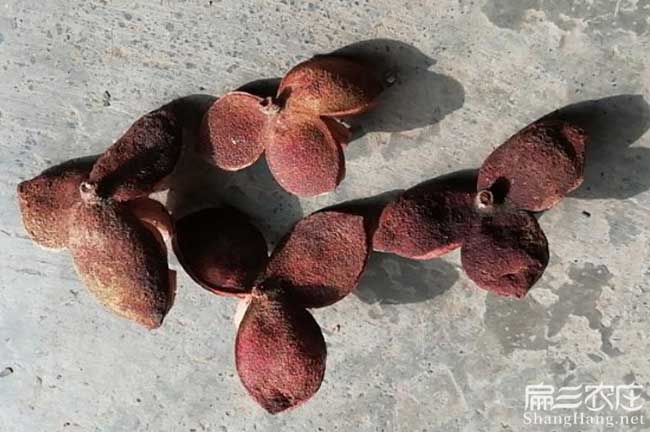 略陽(yáng)縣江西贛石贛無(wú)系 略陽(yáng)縣江西贛石贛無(wú)系