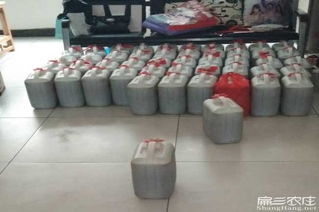 臨滄源油茶苗的土壤耕 臨滄源油茶苗的土壤耕