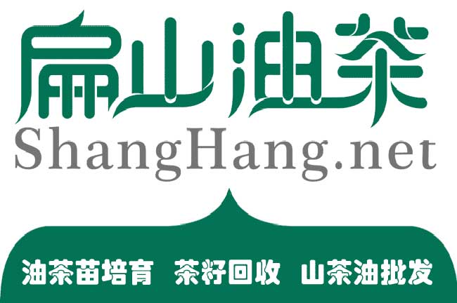 宜君縣油茶林種植山的 宜君縣油茶林種植山的