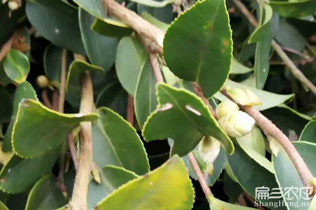 王益中西部北方南方渭 王益中西部北方南方渭