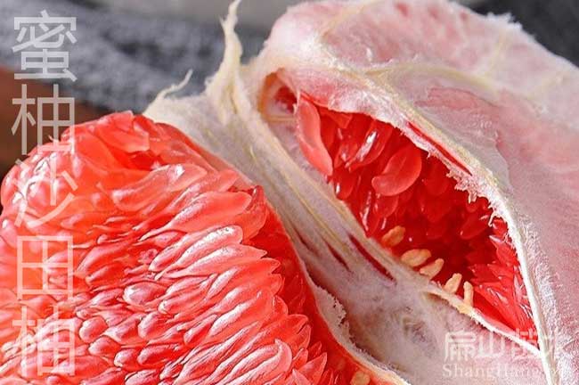 邵陽(yáng)柚子苗批發(fā)