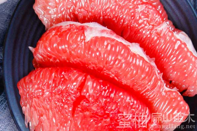 中國蜜柚種植基地