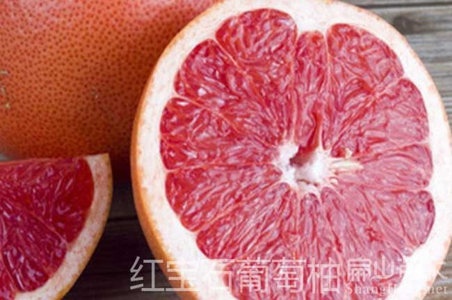 貴州紅寶石柚子種植