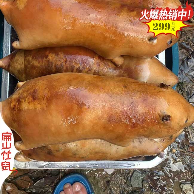 南京竹鼠養(yǎng)殖 南京竹鼠養(yǎng)殖