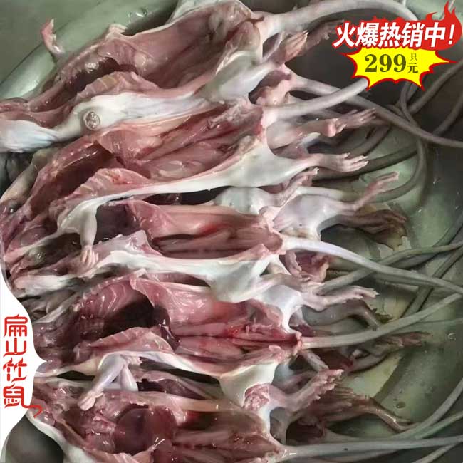 開飯店竹鼠肉批發(fā)