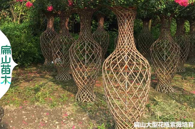 福建紫薇花瓶批發(fā)