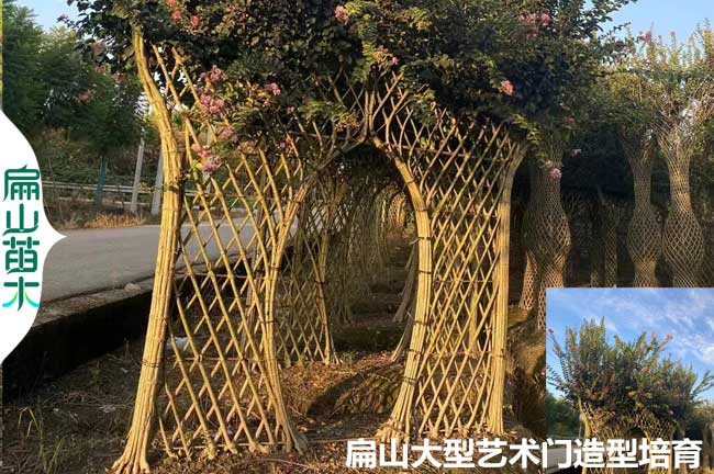 福建紫薇大門造型