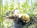 龍巖上杭竹筍