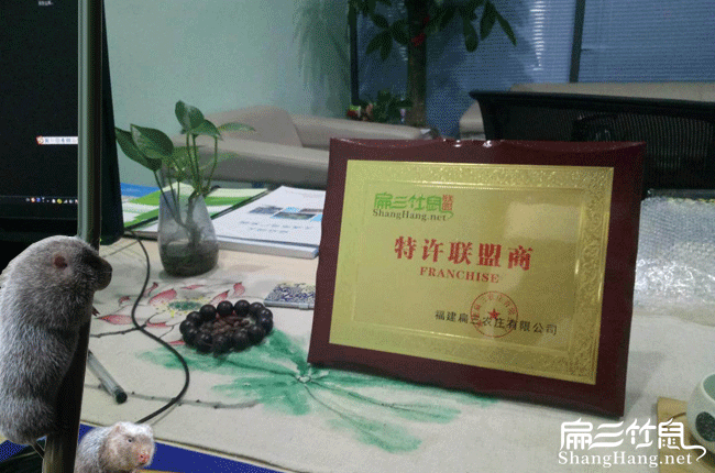 扁山竹鼠聯(lián)盟牌匾