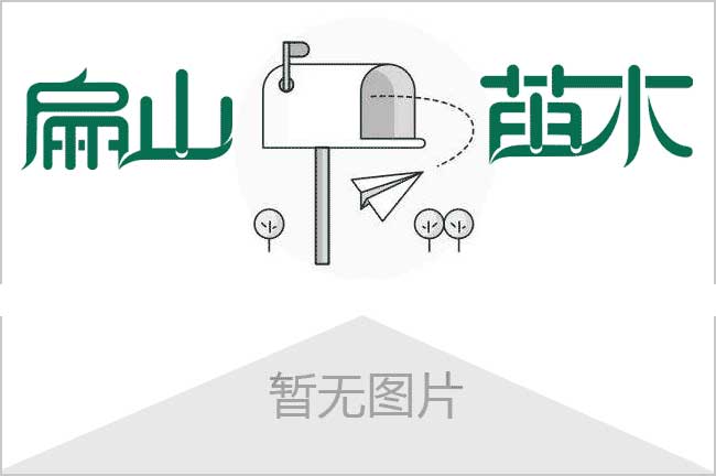 南安五黑綠殼脫溫雞苗南安孵化基地