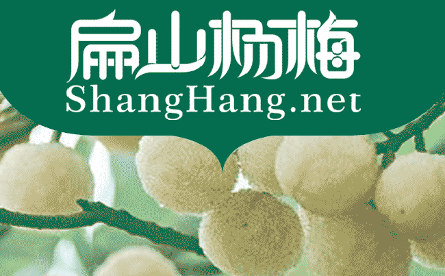湖州白楊梅苗批發(fā)