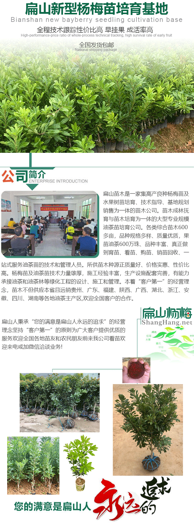 扁山楊梅公司簡(jiǎn)介