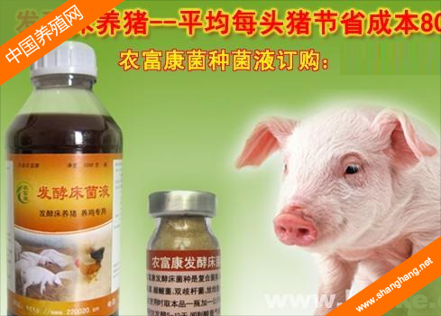 中國(guó)扁山養(yǎng)藥批發(fā)中心